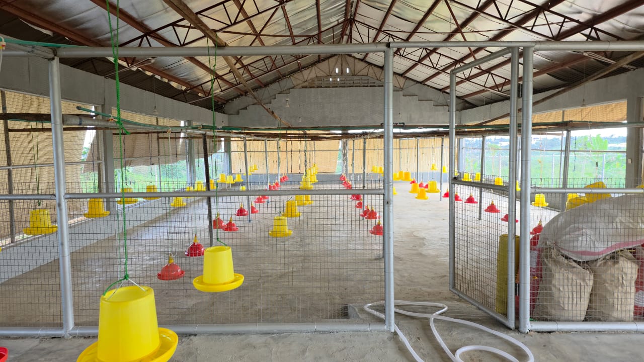 Poultry operations