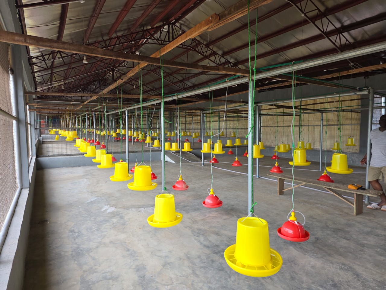 Poultry operations